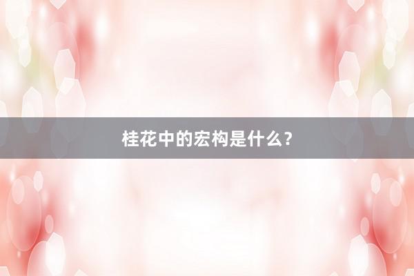 桂花中的宏构是什么？